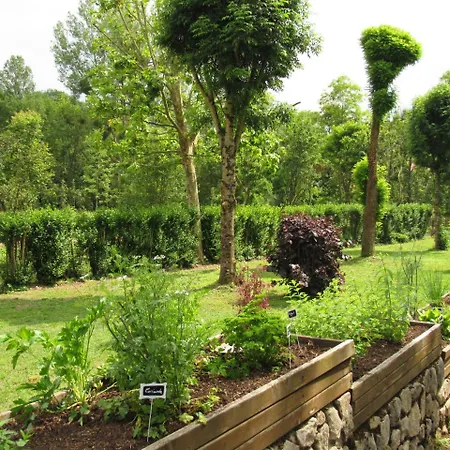 Domaine Le Colombier Bed & Breakfast Dienville Exterior photo